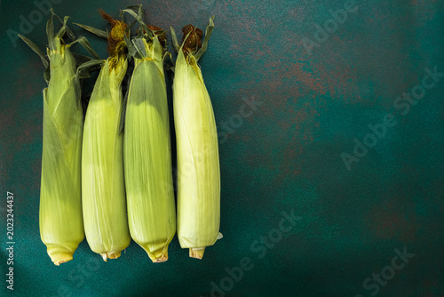 Valokuva Fresh corn on the cob stacked neatly on a dark green surface in a kitchen settin