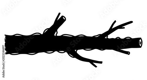 Fotografie Black silhouette of a gnarled branch with smaller twigs against a white background