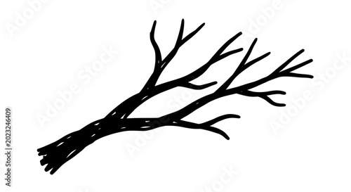 Hand-drawn bare tree branch silhouette on white background