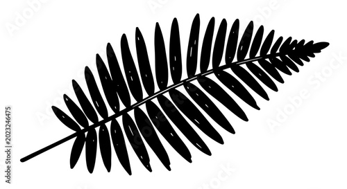 Photos Black Fern Frond Silhouette on White Background