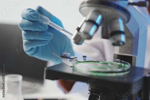 Photos A close-up view of a gloved hand using a plastic dropper to add a liquid reagent into a petri dish placed on a microscope stage, illuminated by a cool blue light within the laboratory