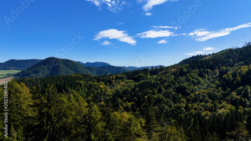 Aerial view of lush green forest with mountains creating a serene nature setting, Sitka, Alaska, USA.