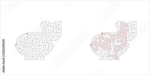 Maze design with paths highlighted on white background  