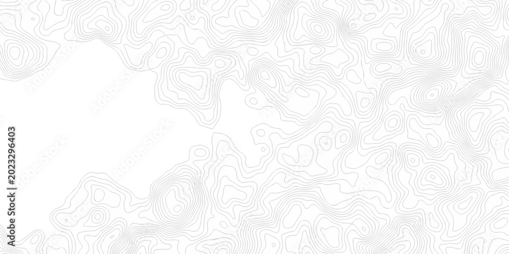 Fototapeta premium Abstract pattern with lines seamless pattern and topography map and counter map. abstract sea map and mounted map area space geometric line technology topo landscape grid map texture.