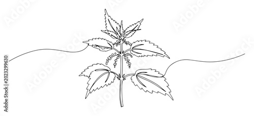 Schilderij op canvas nettle plant line art illustration