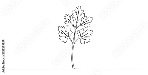 Принти на полотні parsley leaf line art illustration