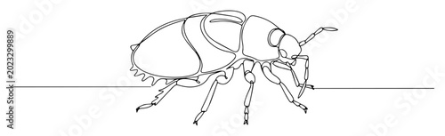 Photos beetle side view line art drawing