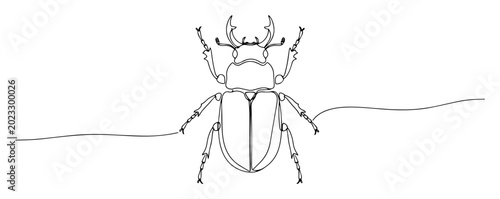 Foto stag beetle line drawing