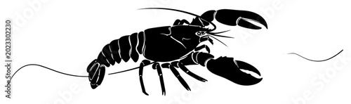 Bild auf Leinwand crayfish simple sketch monoline