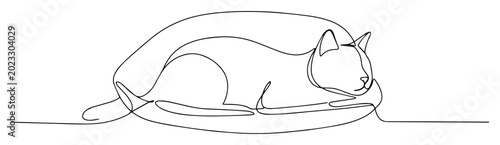 Foto cat sleeping monoline vector