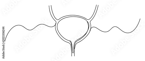Fotografie human bladder and urinary tract in minimal line drawing