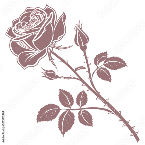 Fotografia a shropshire lad english rose silhouette vector isolated