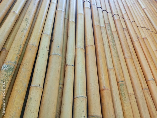 Low Angle View of Tall Vertical Bamboo Wall Texture, Natural Yellow Bamboo Poles Background, Low Angle Perspective on Dense Bamboo Fence Made of Vertical Poles, Natural Bamboo Wall Close Up