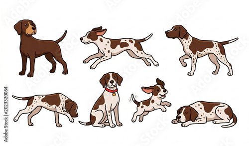 Cute shorthaired pointer dog cartoon vector set with playful sitting, running, pointing, jumping, and lying dog poses on white