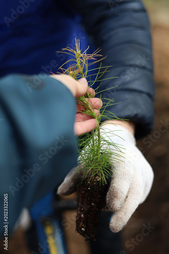plant in hand