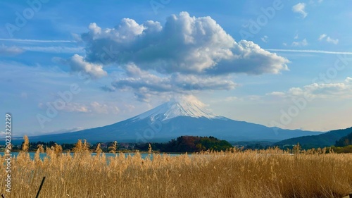 Mount Fuji viewed from oishi park kawaguchiko