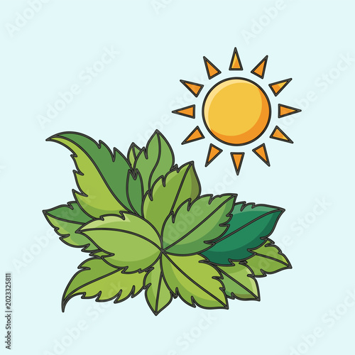Fotografia A vibrant green plant basking under the warm glow of a bright yellow sun on a clear day