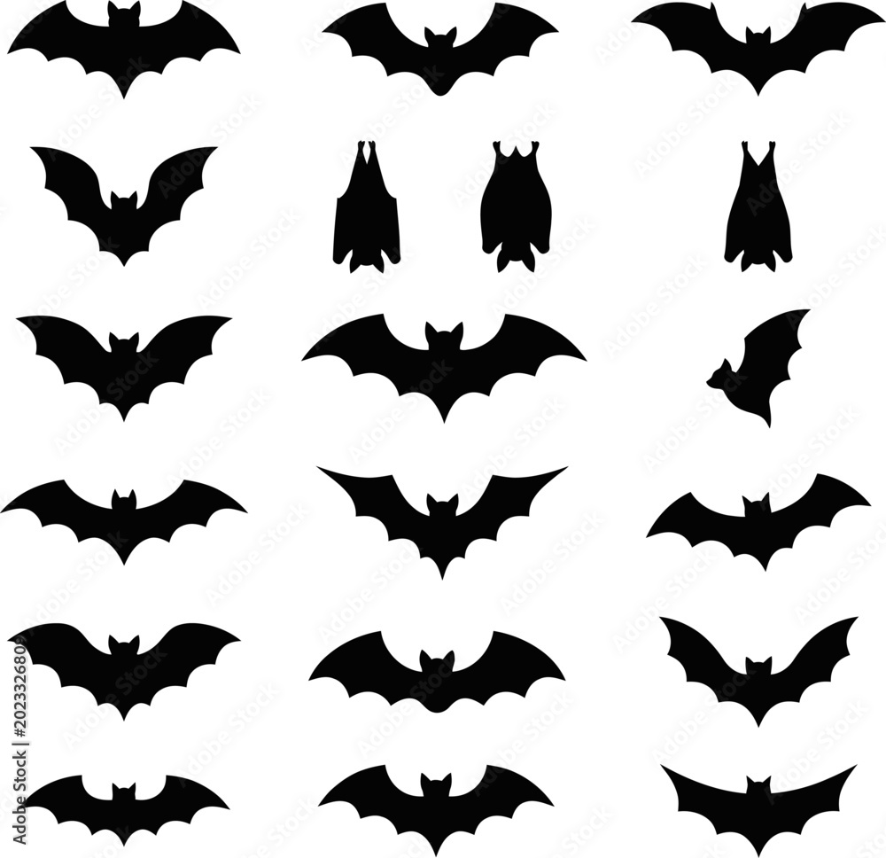 Fototapeta premium A collection of various black bat silhouettes flying in different directions on a white background in a vector file.