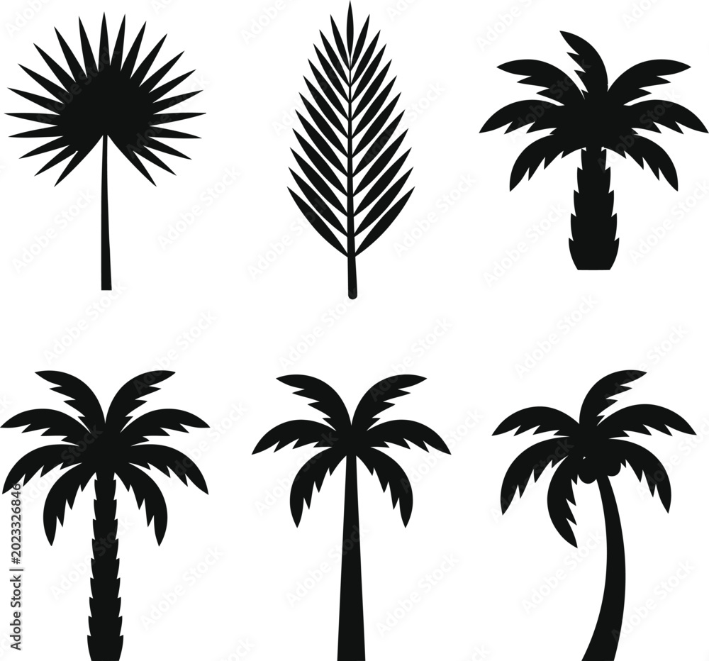 Fototapeta premium A collection of six palm trees in various silhouettes on a white background vector file
