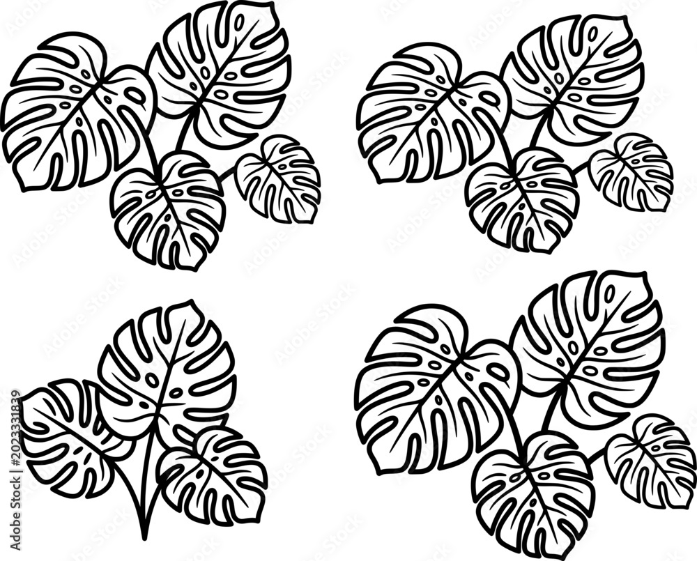 Fototapeta premium black and white plants