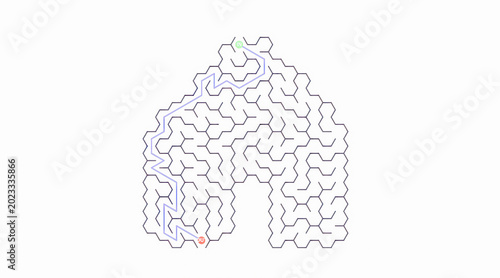 Bilde på lerret The hexagonal maze forms an archway shape