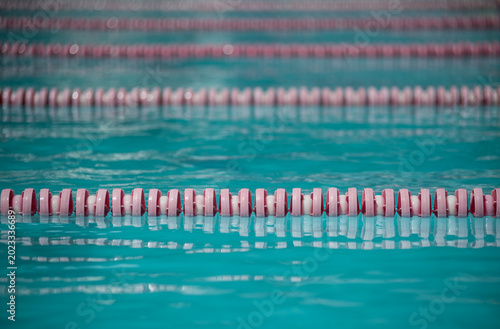Swimmers are practicing in the swimming pool.