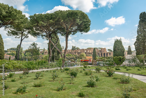 The Rose Garden with Menorah shape walkways at Aventine Hill in Rome