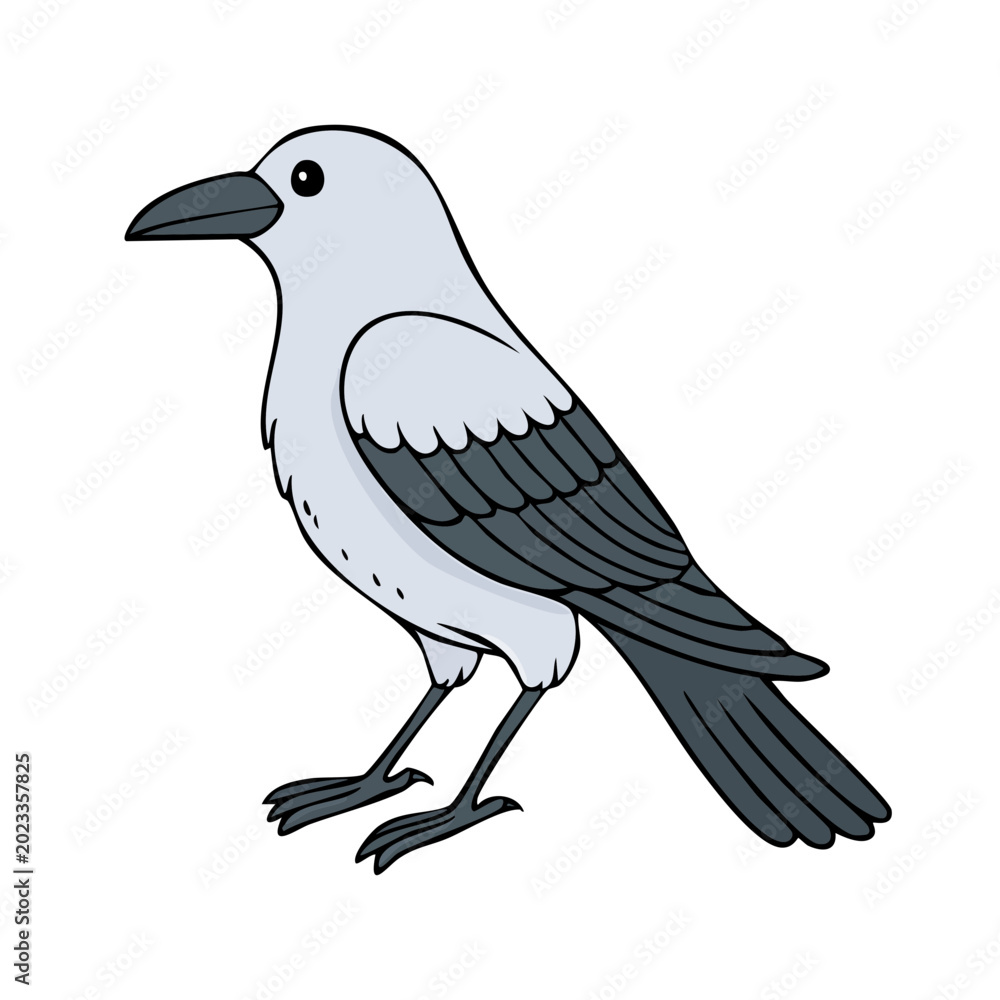 Fototapeta premium Cute Cartoon Bird with Gray and White Feathers Standing with Webbed Feet