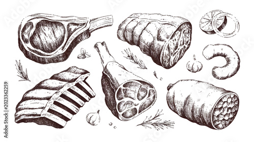 hand drawn collection of various raw meat cuts and herbs on white