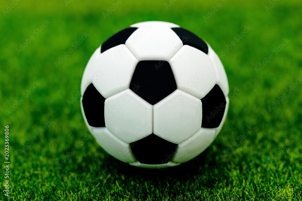 Fototapeta premium Pallone da calcio su campo erboso 