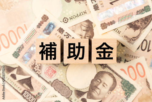 「補助金」と書かれたブロックとたくさんの一万円札