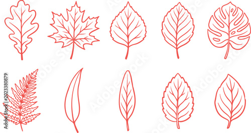Photos Assorted detailed leaf silhouettes for autumn season and natural forest theme decor