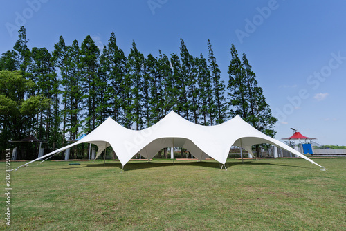 White Freeform Stretch Tent on Green Lawn with Pine Trees Blue Sky Outdoor Event Venue