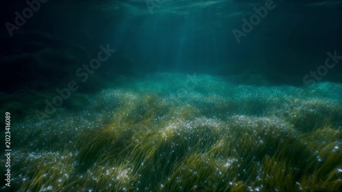 4K High-Tech Science Study of Deep Sea Current Fluid Dynamics and Neon Vent