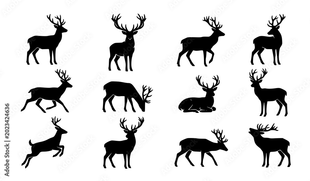 Fototapeta premium Deer Silhouette Vector Set Wildlife Nature Illustration Collection