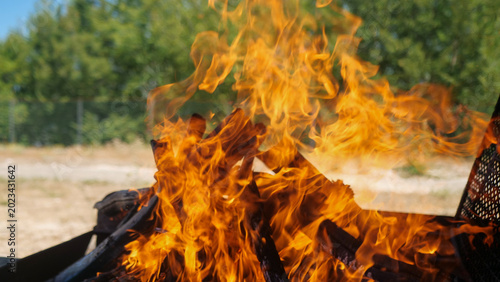 Foto Bright flames dancing joyfully as pieces of wood crackle in the warm afternoon s