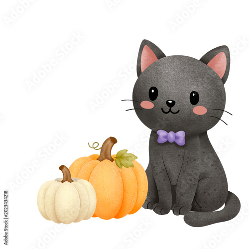 Black Cat with Pumpkins Illustration