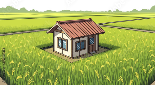 Fotografie Small House in Vast Rice Paddy Field