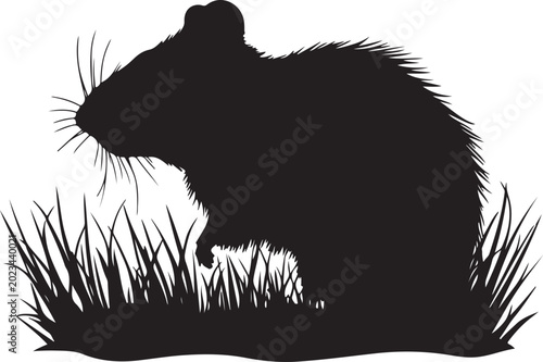 Photos Brown rat in grass silhouette, rodent with long whiskers and bushy fur