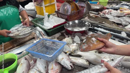 A woman chooses between barracuda and parrotfish at a local seafood market, showing fresh fish selection and everyday shopping in an Asian fish market.