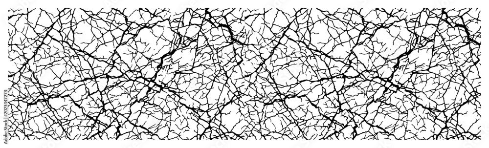Obraz premium Intricate branching root network pattern background for organic nature concept in black and white line art style
