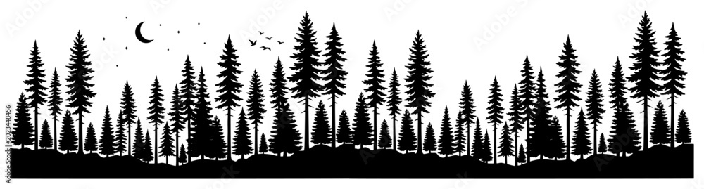 Obraz premium Pine forest tree silhouette landscape with moon and birds for nature and wilderness theme