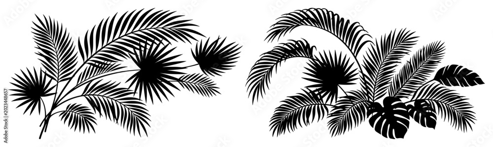 Obraz premium Tropical palm tree branches and monstera leaves in minimalist silhouette style