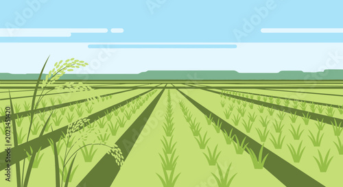 Foto Vast Green Rice Field Landscape with Rows and Blue Sky