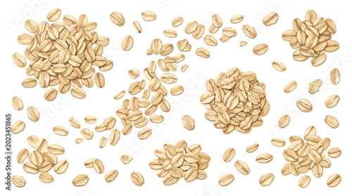 Foto Oat Grain and Whole Oats Collection with Organic Cereal Seeds, Healthy Breakfast