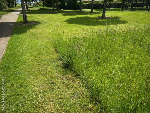 Φωτογραφία urban differentiated mowing