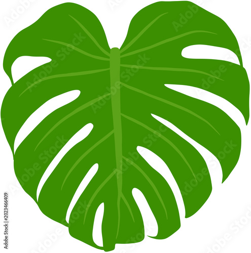 green leaf icon