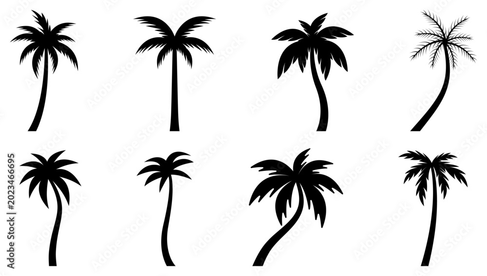 Fototapeta premium Palm trees in black and white set isolated on a transparent background. Palm black and white. Vector illustration of tropical plants. Palm tree silhouette vectors set. Tropical coconut tree black 