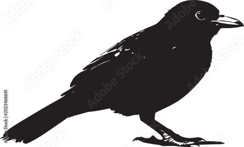 Black silhouette of a small songbird perched on the ground against isolated white background.