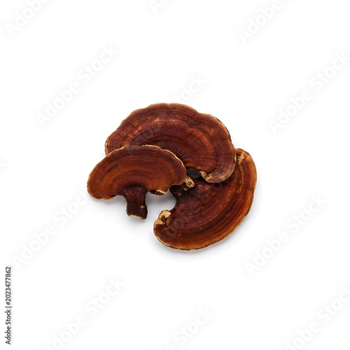 dried reishi slices on pure white seamless background minimalist product photography soft lighting
